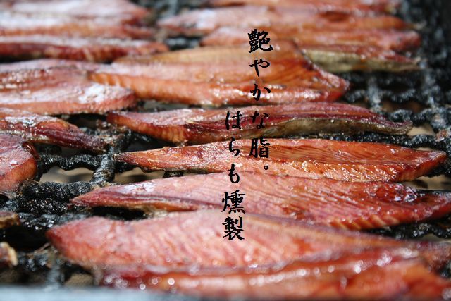 トップはらも4